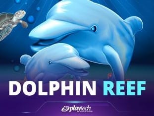 Dolphin Reef icon