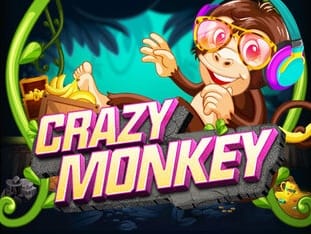 Crazy Monkey icon